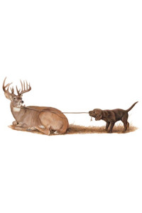 Transfer Rope A Dope (whitetail & Lab)