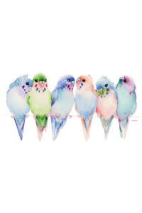 Transfer Budgies