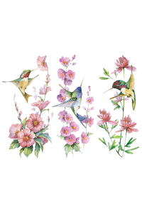 Transfer In A Row Hummingbird
