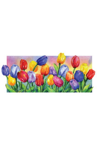Transfer Boardered Tulips
