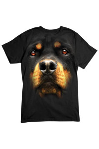 Transfer Rottweiler Face