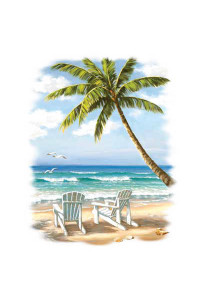 Transfer Hidden Beach