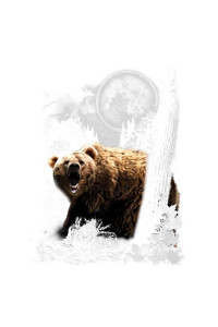Transfer Bear Wilderness (darks Only)