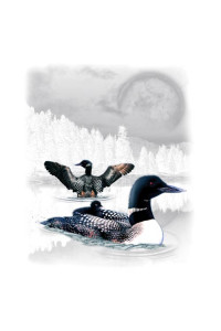 Transfer Loon Wilderness (darks Only)
