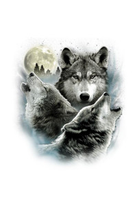 Transfer Three Wolves