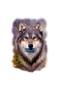 Transfer Wolf Var.1