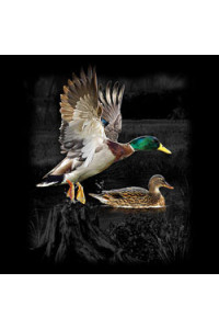 Transfer Duck Wilderness (darks Only)
