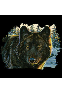 Transfer Black Wolf