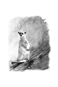 Transfer Polar Surf
