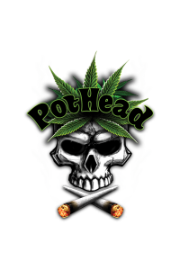 Transfer Pothead Skull