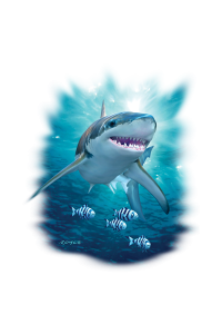 Transfer Shark And Pilot Fish