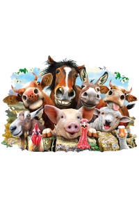 Transfer Farm Selfie