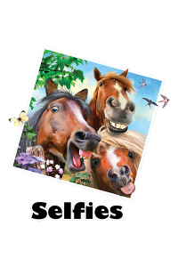 Transfer 3 Amigo's Selfie