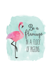 Transfer Be A Flamingo 2