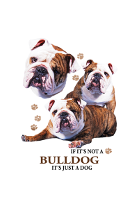 Transfer Bulldog
