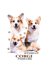 Transfer Corgi