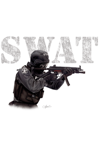 Transfer Swat