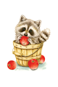 Transfer Raccoon