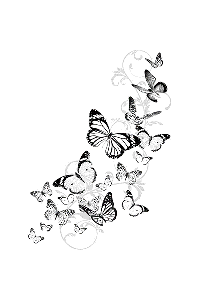 Transfer Butterflies