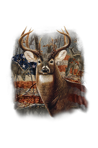 Transfer American Deer