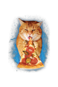 Transfer Pizza Cat