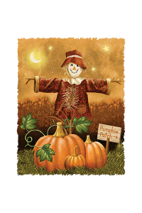 Transfer Pumpkin Patch