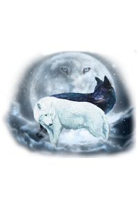 Transfer Yin Yang Wolves