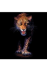 Transfer Prowling Leopard