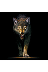 Transfer Stalking Wolf