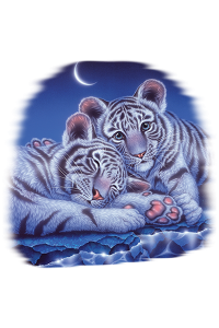 Transfer Two Babies - Tiger
