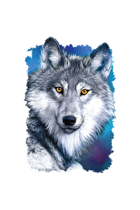 Transfer Winter Wolf 1