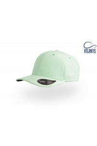 Fam Cap 