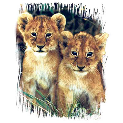 Exotic and domestic wildlife