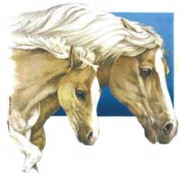 Horses