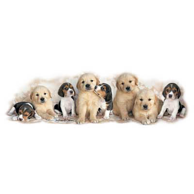 Pets