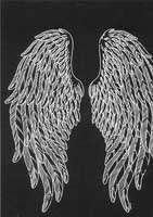 TRANSFER ANGEL WINGS