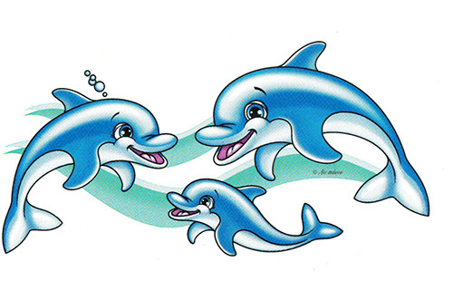 TRANSFER BLUE DOLPHIN