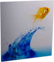 Pann. Fot. All. CL Trasp. Lucido 150x150x1,14 mm