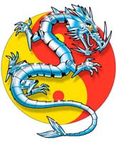TRANSFER CHROME DRAGON