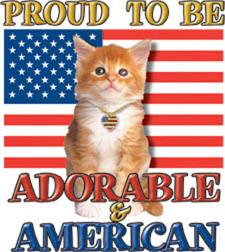 TRANSFER ADORABLE AND AMERICAN YTH