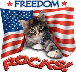 FREEDOM ROCKS YOUTH