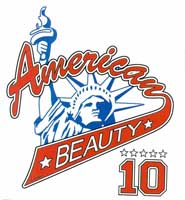 TRANSFER AMERICAN BEAUTY