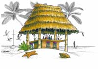 TIKI HUT