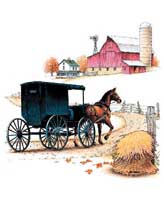 TRANSFER AMISH BUGGY