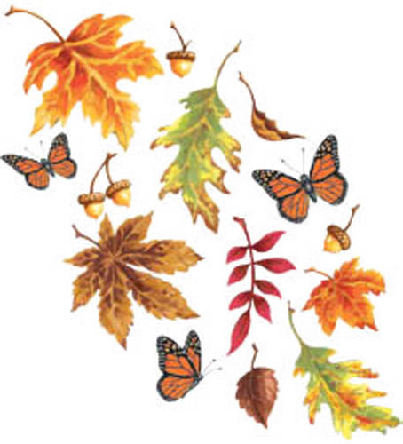 TRANSFER AUTUMN LEAVES SWEEP