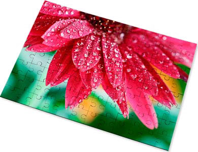 Puzzle In HDF 96Pz 25×17,5cm