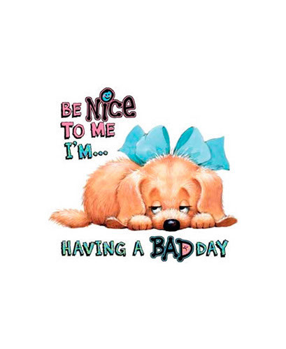 TRANSFER BE NICE TO ME-BAD DAY