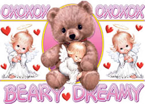 TRANSFER BEARY DREAMY YTH