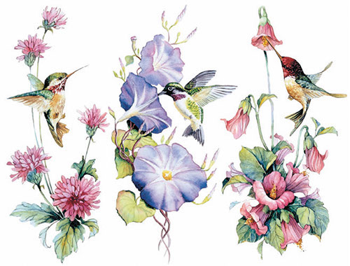 TRANSFER 3 IN A ROW HUMMINGBIRDS