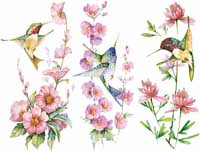TRANSFER 3 IN A ROW HUMMINGBIRDS